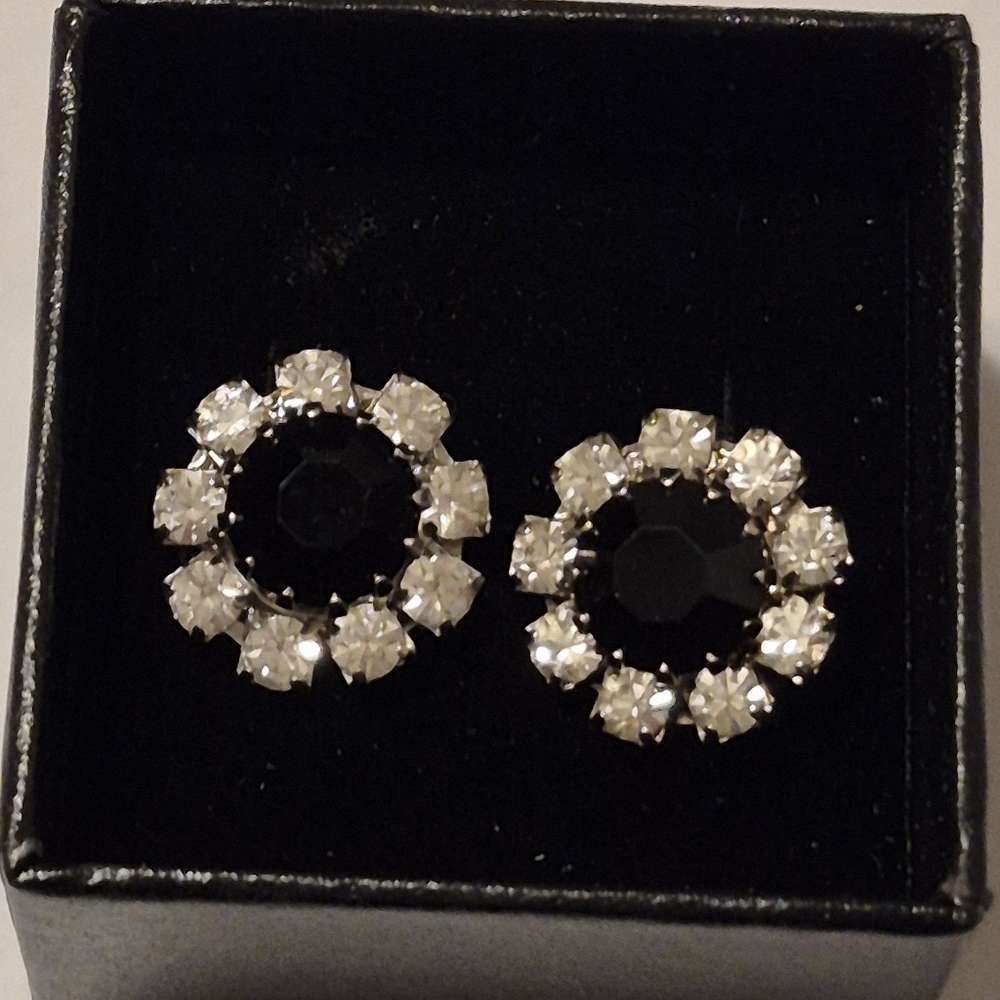 Elegant Black and Silver Stud Earrings
